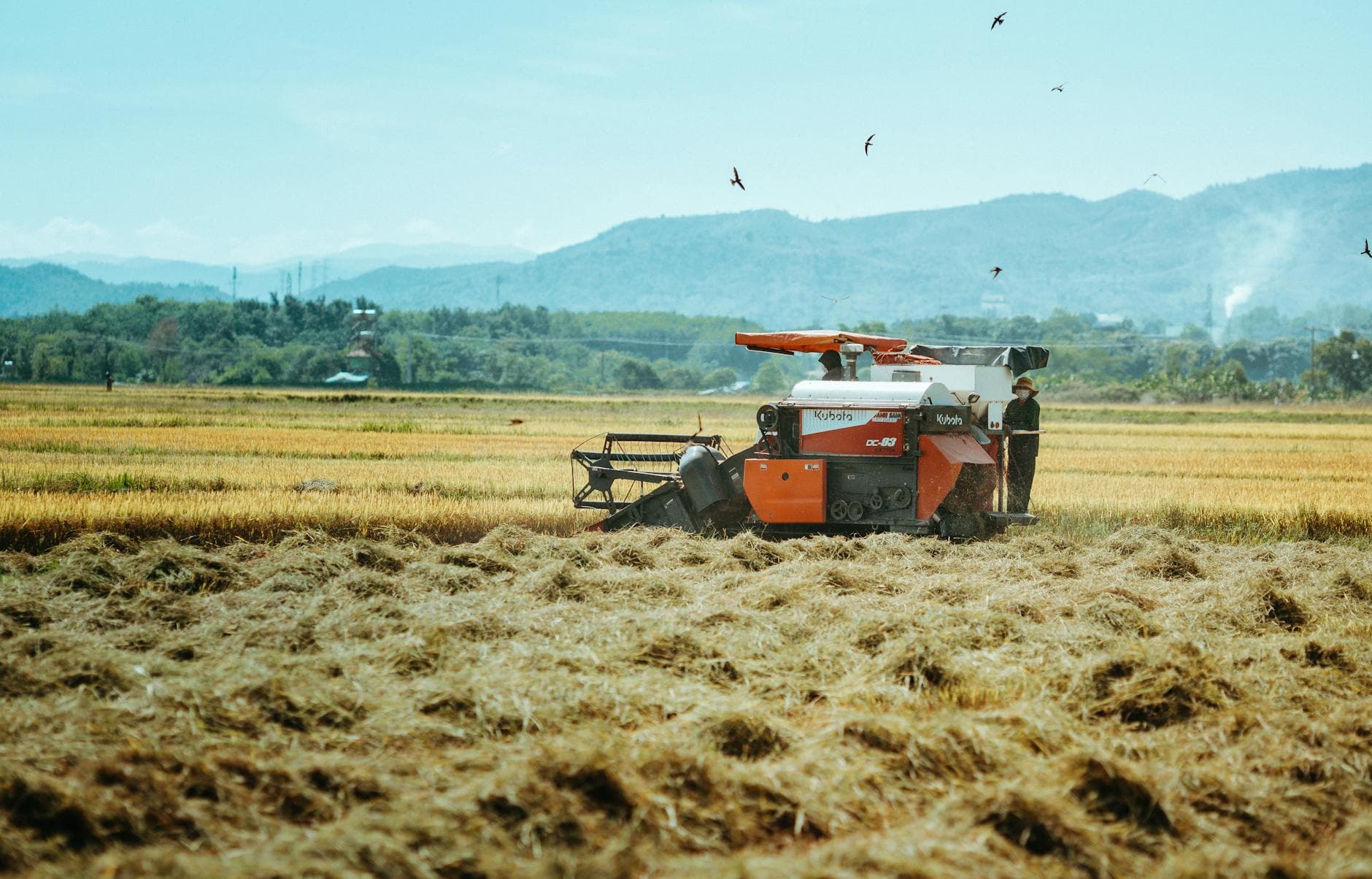 Bayanihan Harvest: What We Learned Building Philippine Agritech from the Ground Up